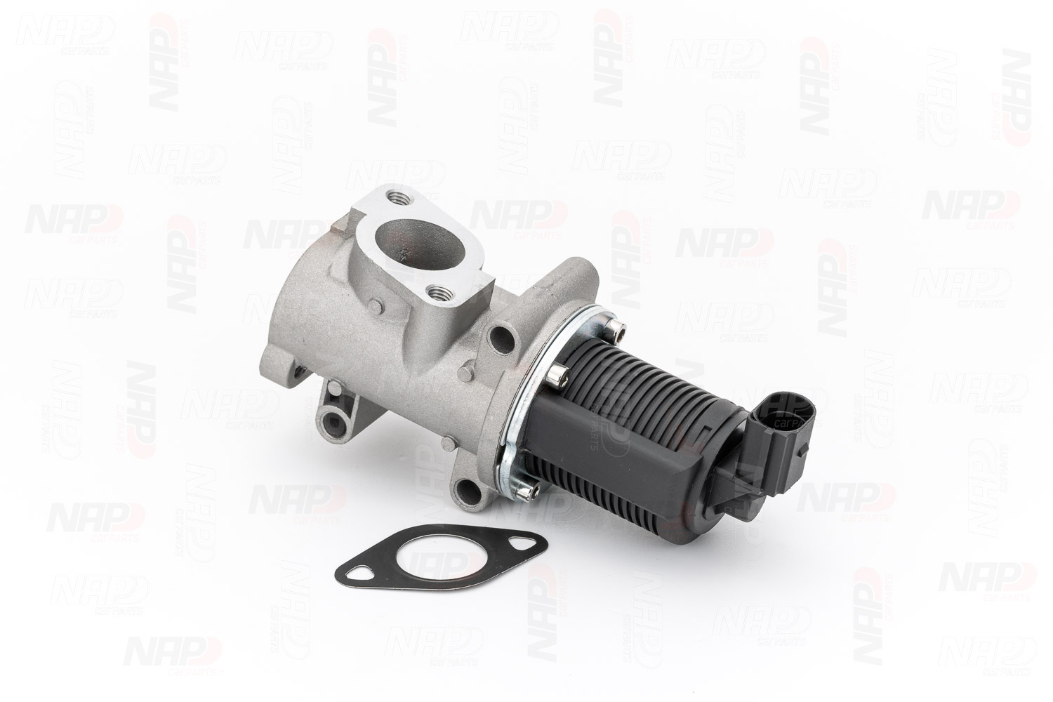 EGR Valve (CAV10031)