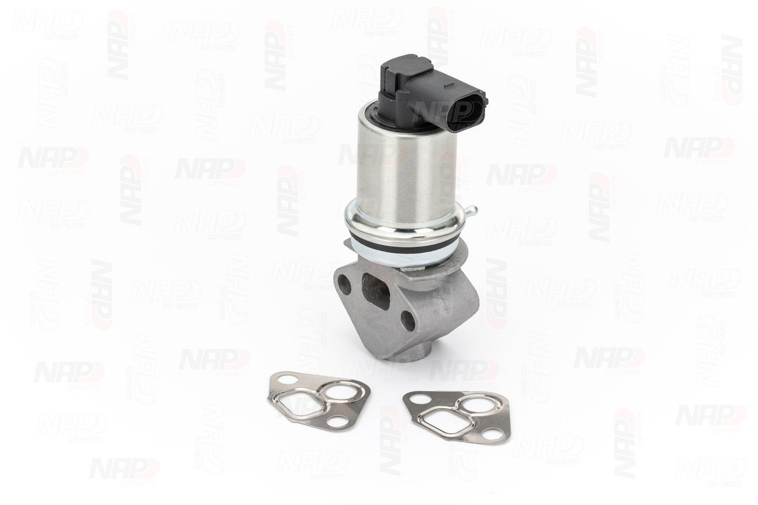 EGR Valve (CAV10009)