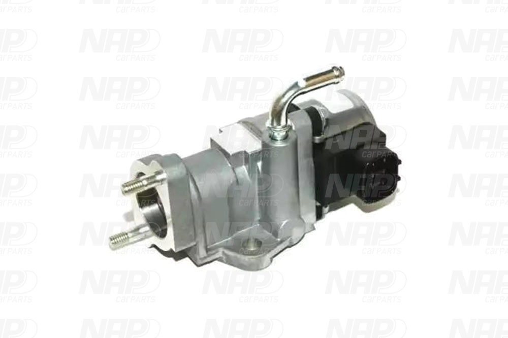 EGR Valve (CAV10160)