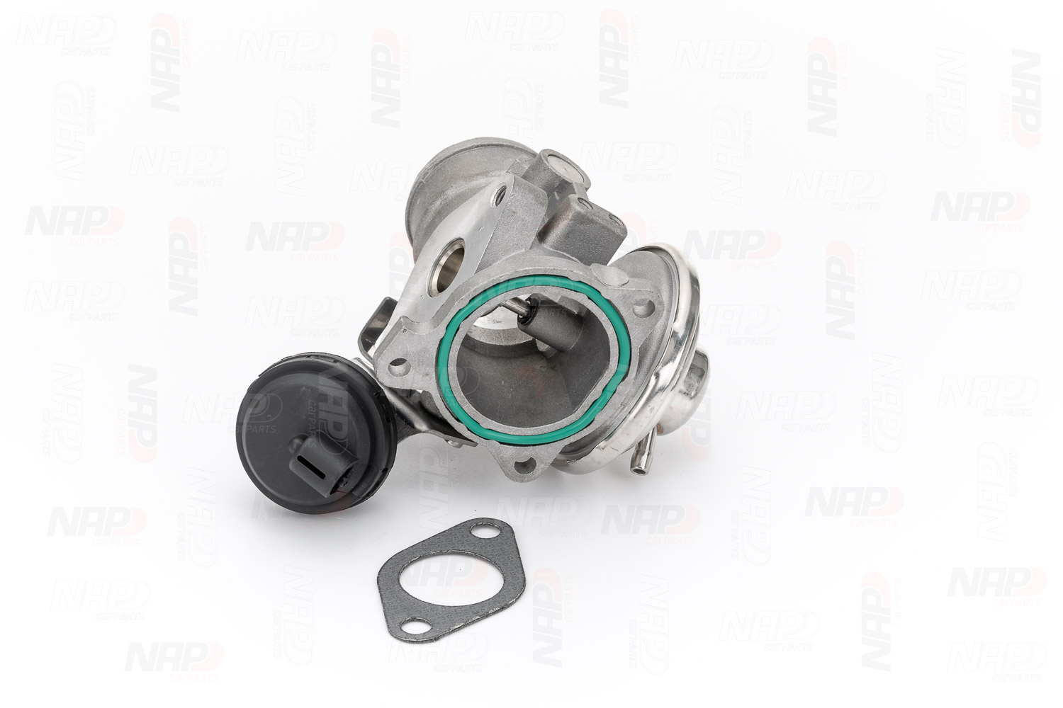EGR Valve (CAV10048)