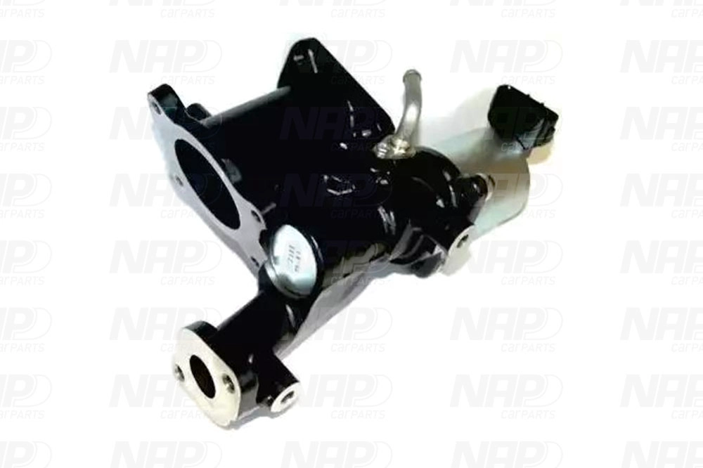 EGR Valve (CAV10111)
