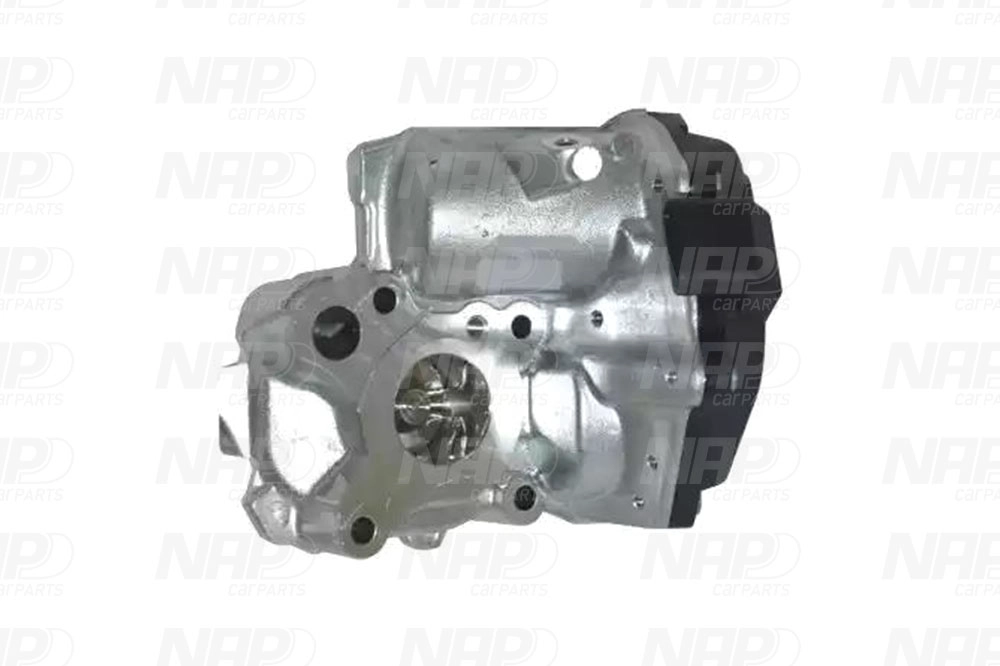 EGR Valve (CAV10174)
