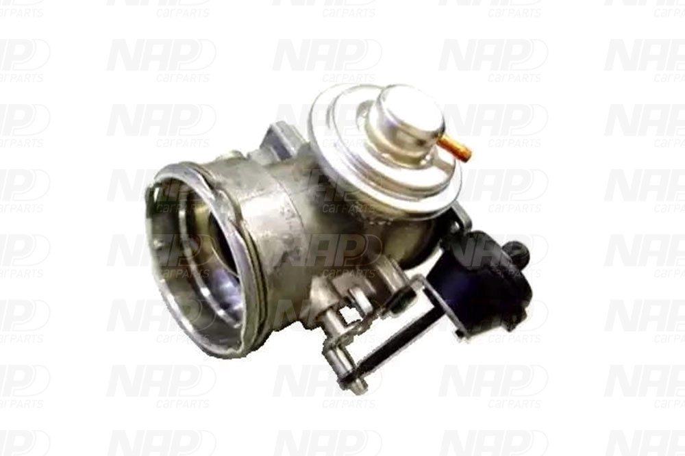 EGR Valve (CAV10076)