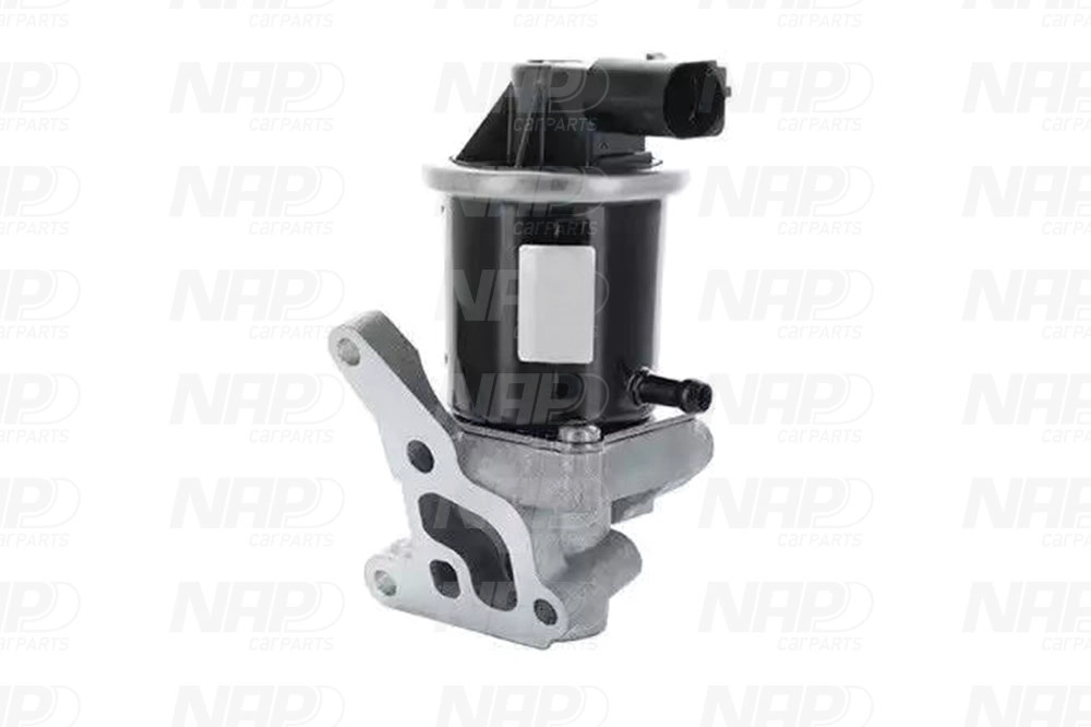 EGR Valve (CAV10093)