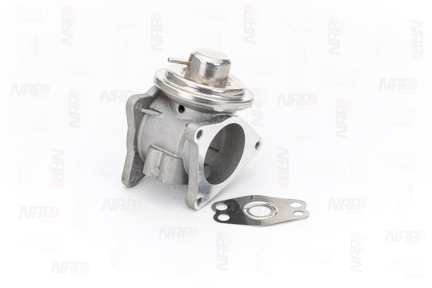 EGR Valve (CAV10041)