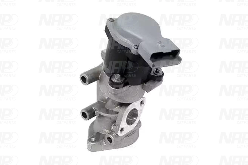 EGR Valve (CAV10075)