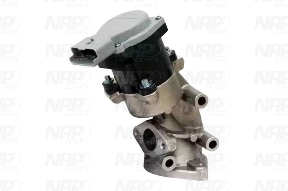 EGR Valve (CAV10074)