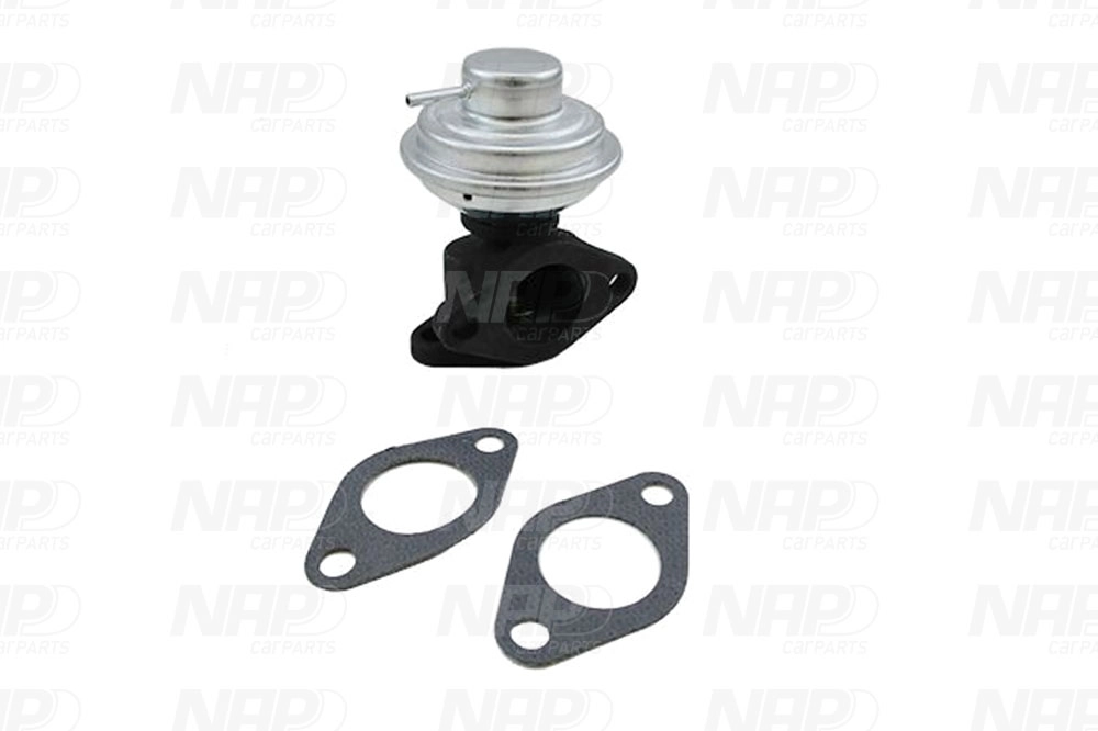 EGR Valve (CAV10013)