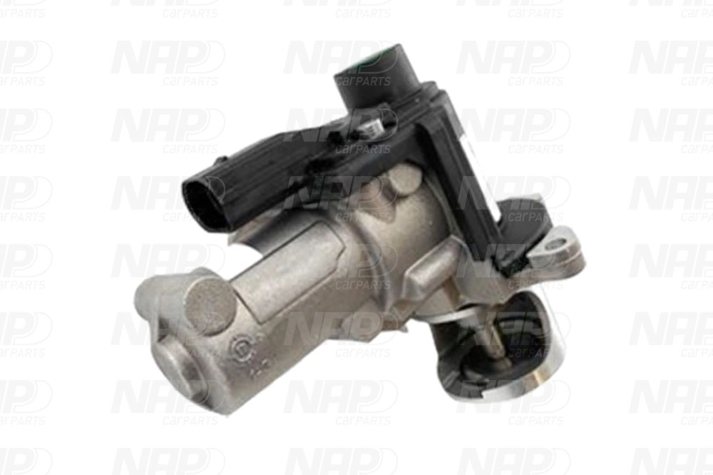 EGR Valve (CAV10168)