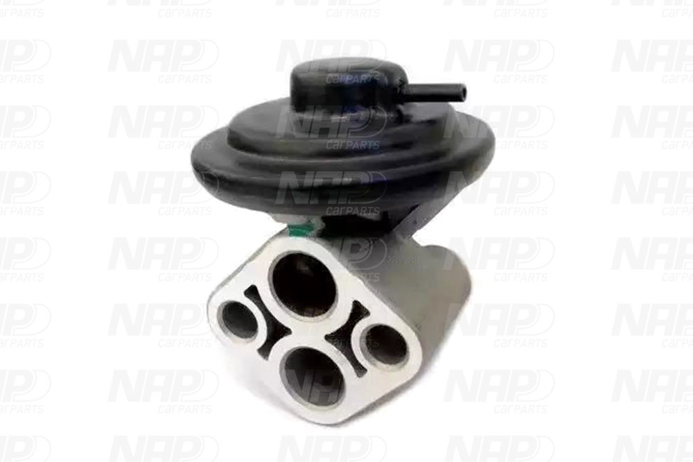 EGR Valve (CAV10028)