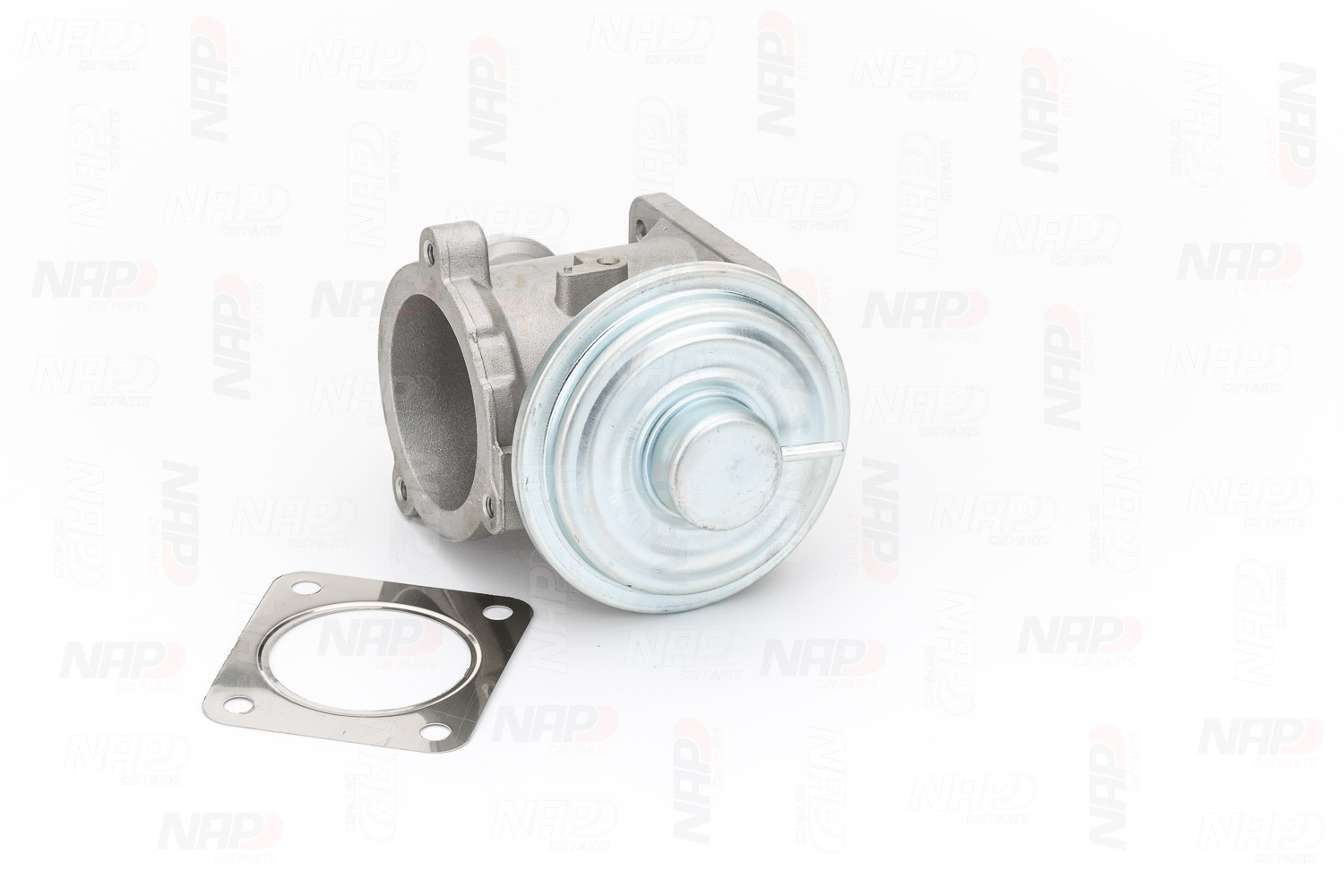 EGR Valve (CAV10134)