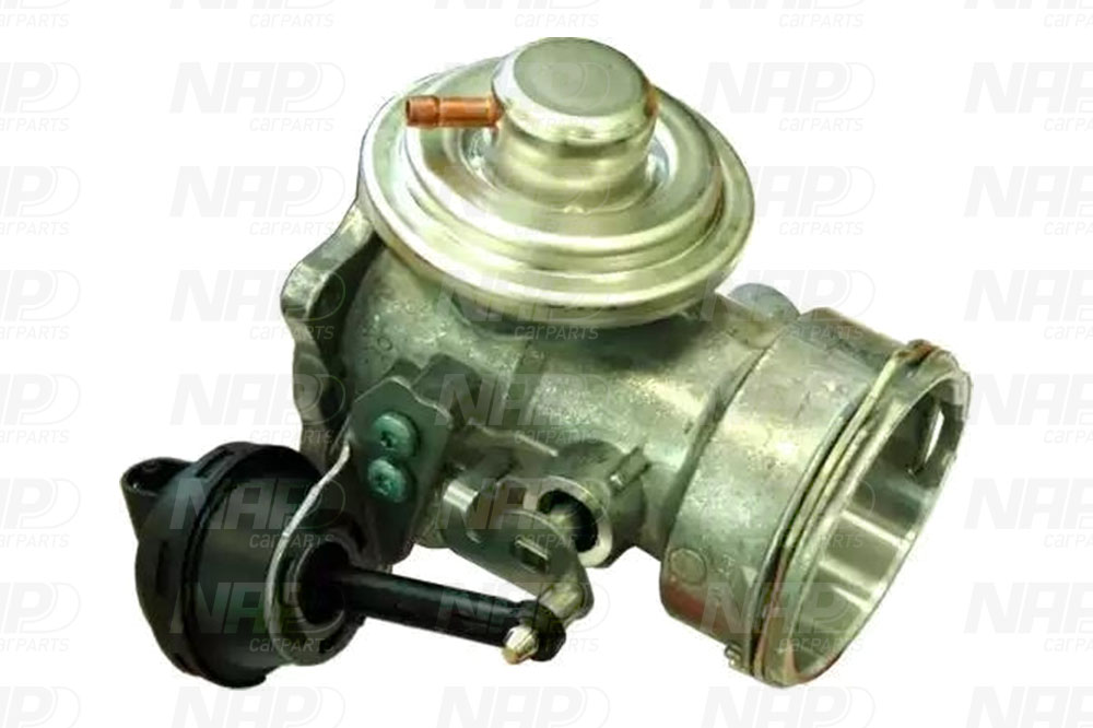 EGR Valve (CAV10082)