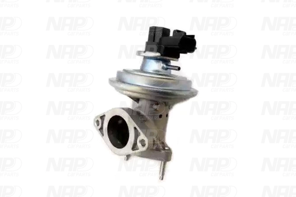 EGR Valve (CAV10109)