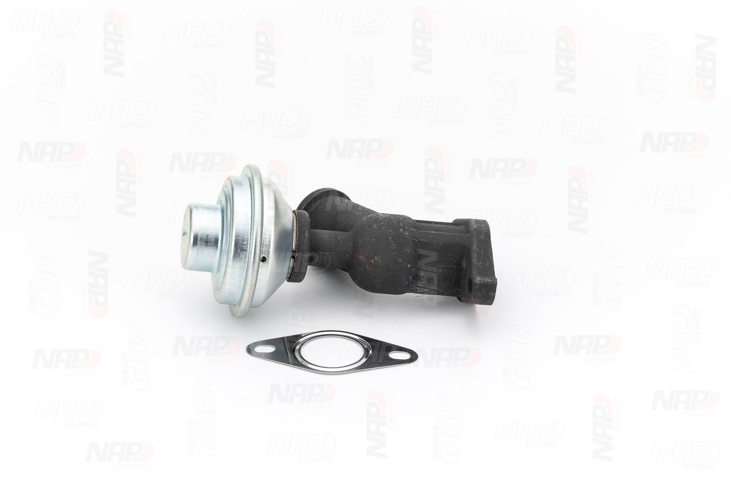 EGR Valve (CAV10081)