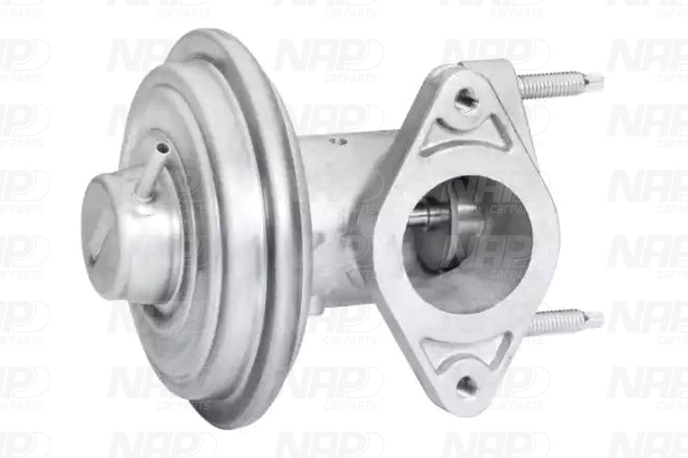 EGR Valve (CAV10110)