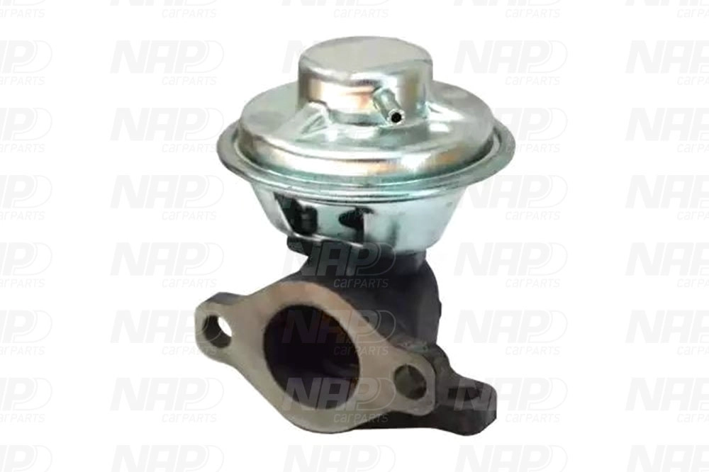 EGR Valve (CAV10151)