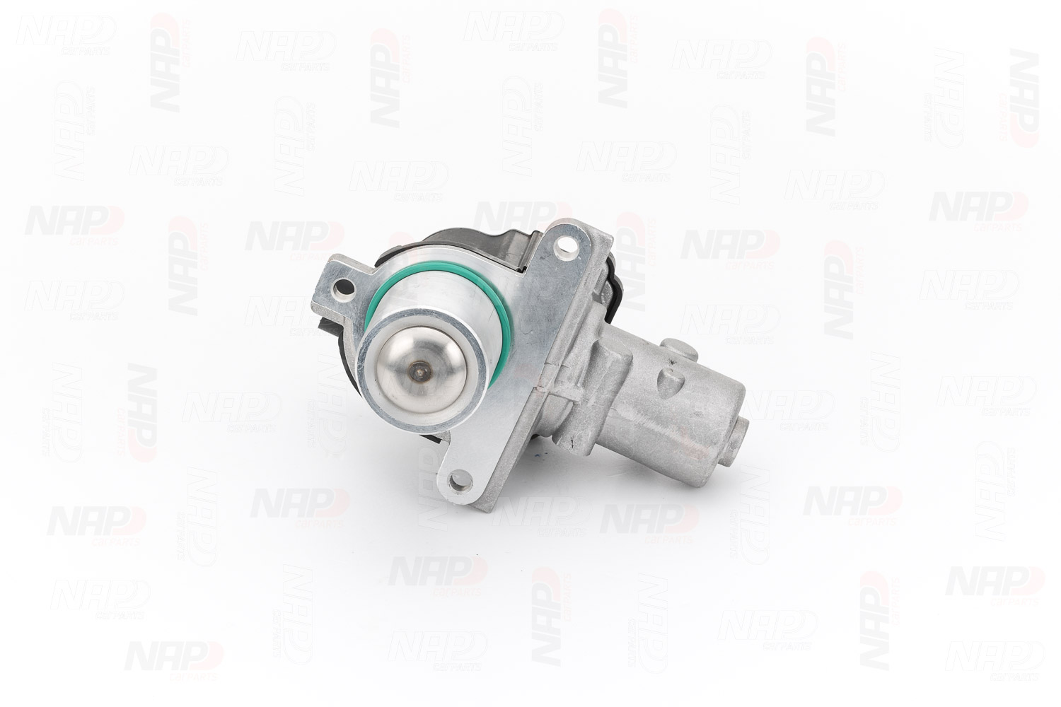 EGR Valve (CAV10060)