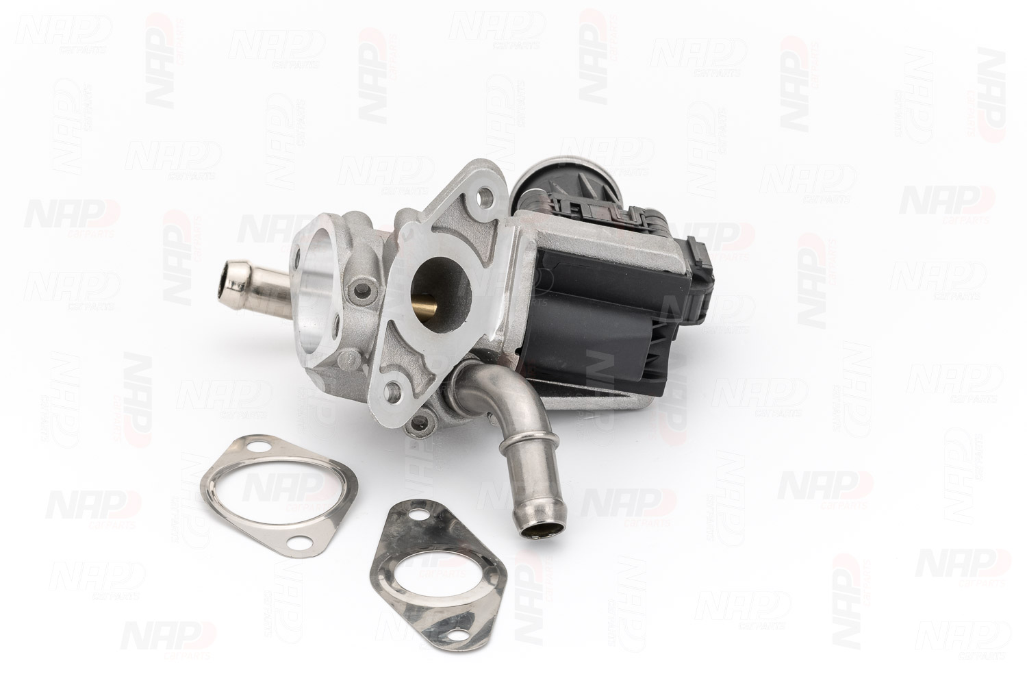 EGR Valve (CAV10099)