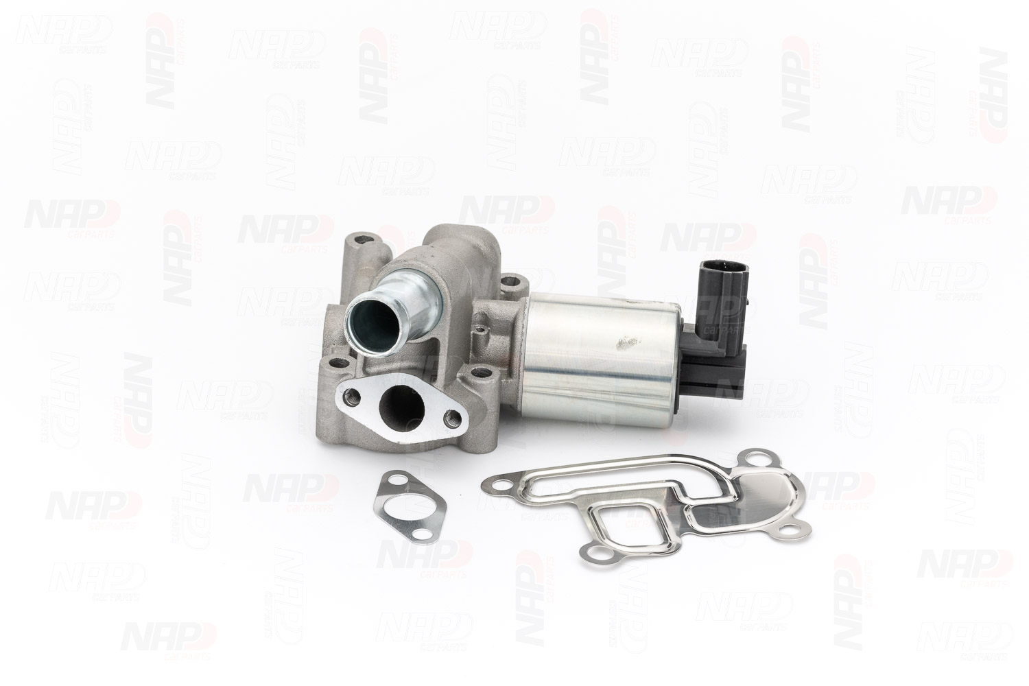 EGR Valve (CAV10045)