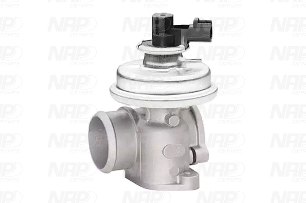 EGR Valve (CAV10040)