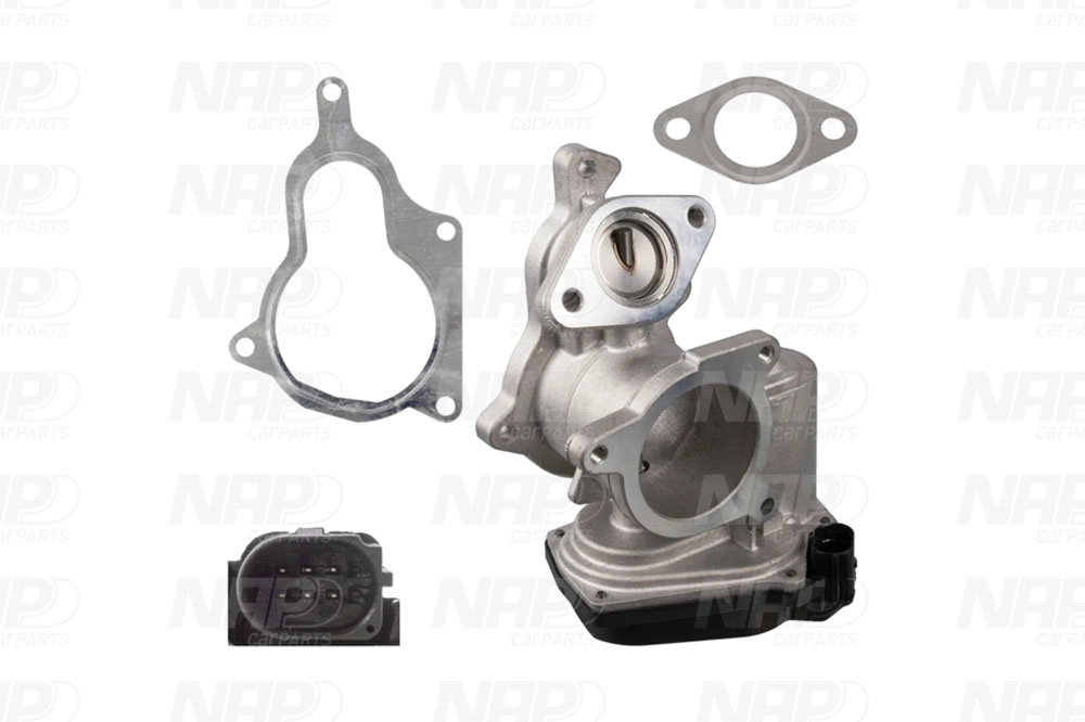 EGR Valve (CAV10061)