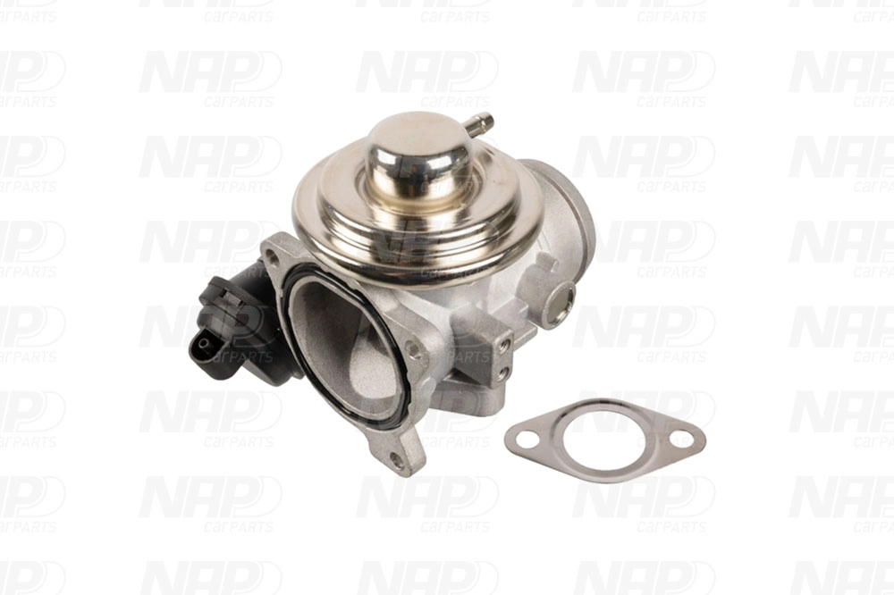 EGR Valve (CAV10049)