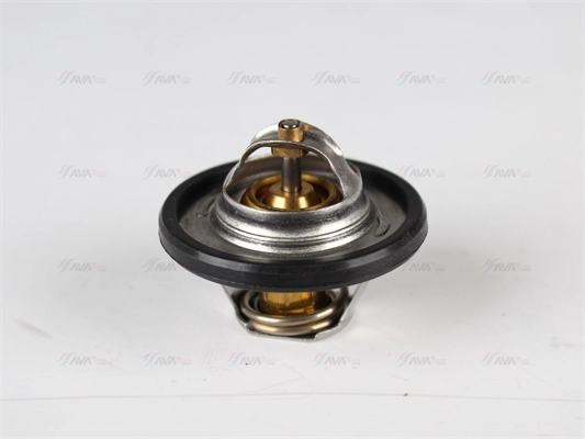 Thermostat, coolant (MSTS006)