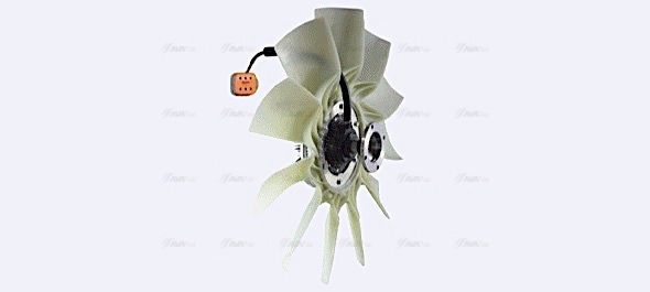 Clutch, radiator fan