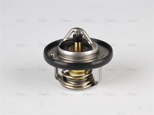 Thermostat, coolant (DNTS001)
