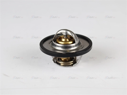 Thermostat, coolant (PETS001)