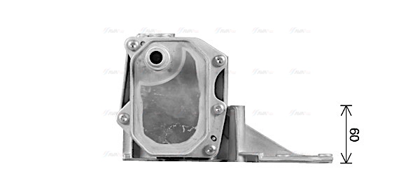 Oil Cooler, engine oil