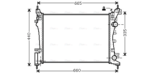 Radiator, engine cooling (OLA2408)