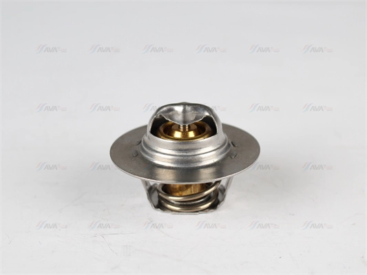 Thermostat, coolant (RTTS005)