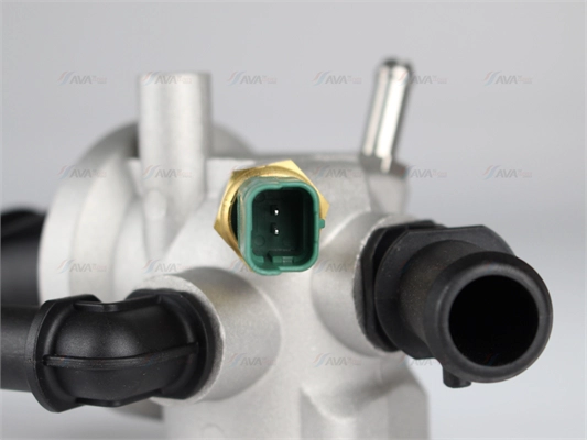 Thermostat, coolant