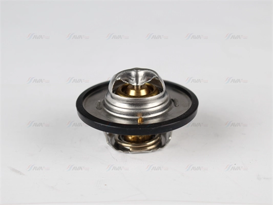 Thermostat, coolant (DNTS002)