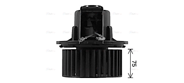 Interior Blower