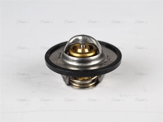 Thermostat, coolant (CNTS004)