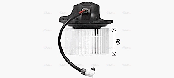 Interior Blower