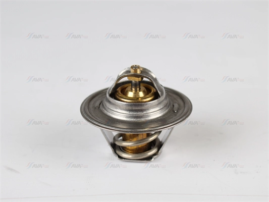 Thermostat, coolant (VNTS005)