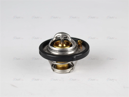Thermostat, coolant (FDTS002)