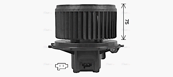 Interior Blower
