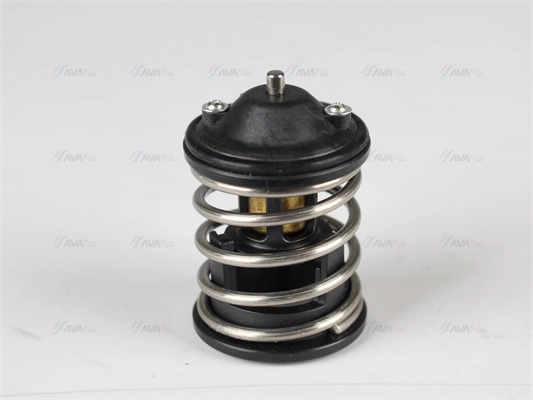 Thermostat, coolant (BWTS001)