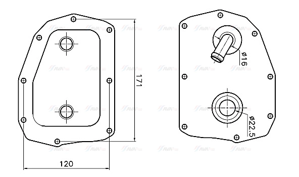 Oil Cooler, engine oil (MS3781)