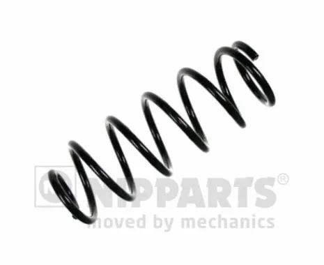 Suspension Spring (N5553043)