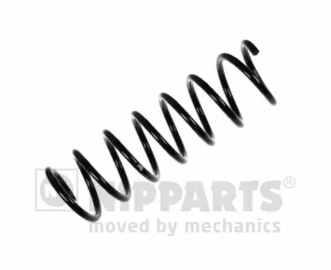 Suspension Spring (N5553041)