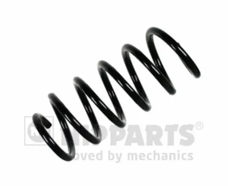 Suspension Spring (N5541133)