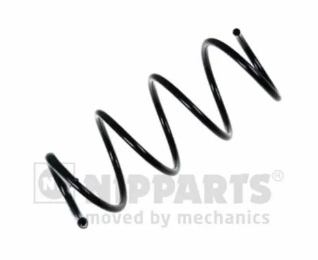Suspension Spring (N5541085)