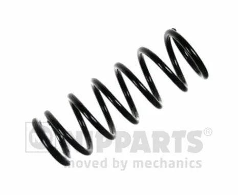 Suspension Spring (N5551074)