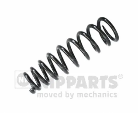 Suspension Spring (N5543112)