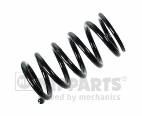 Suspension Spring (N5555060)